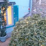 Little Garden