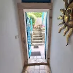 Little Garden