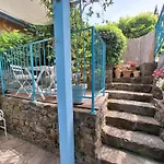 Little Garden