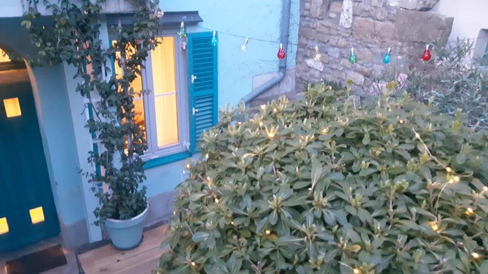 Appartement Little Garden *