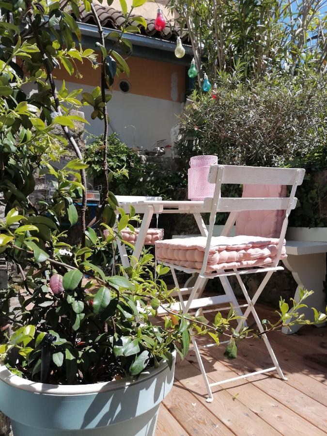 Little Garden *