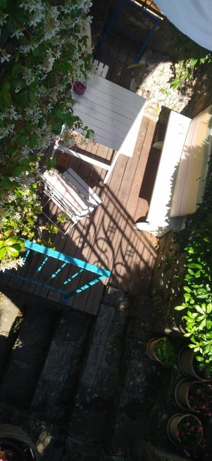 Little Garden